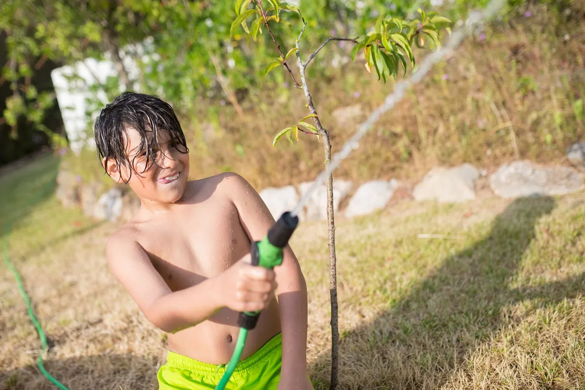 The Beginner's Guide to Choosing the Right Tree for Your Yard